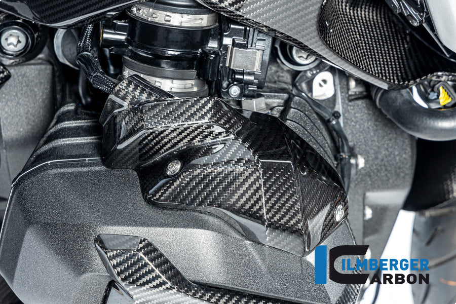 Ilmberger Carbon Injector Nozzle Cover Right BMW R 1300 GS - Gloss / Twill