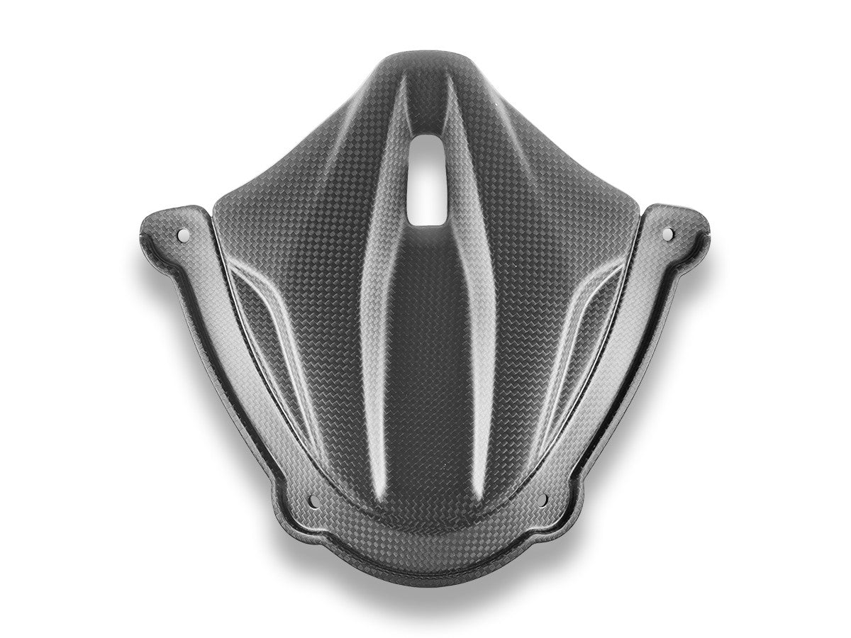CRB214O - PANIGALE V4 MY25 CARBON INSTRUMENT COVER