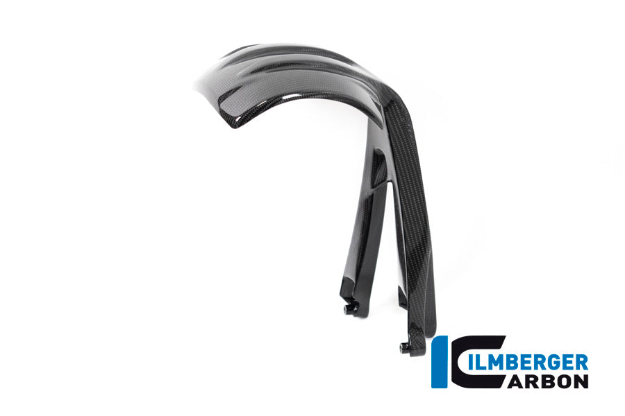 Ilmberger Carbon Rear Splash Guard BMW R 1250 GS From 2019