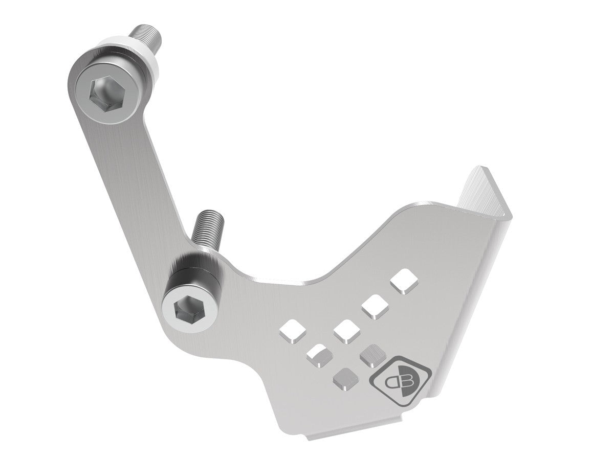 Ducabike DBK PPF01 - MTS V4 Rear Brake Pump Protection