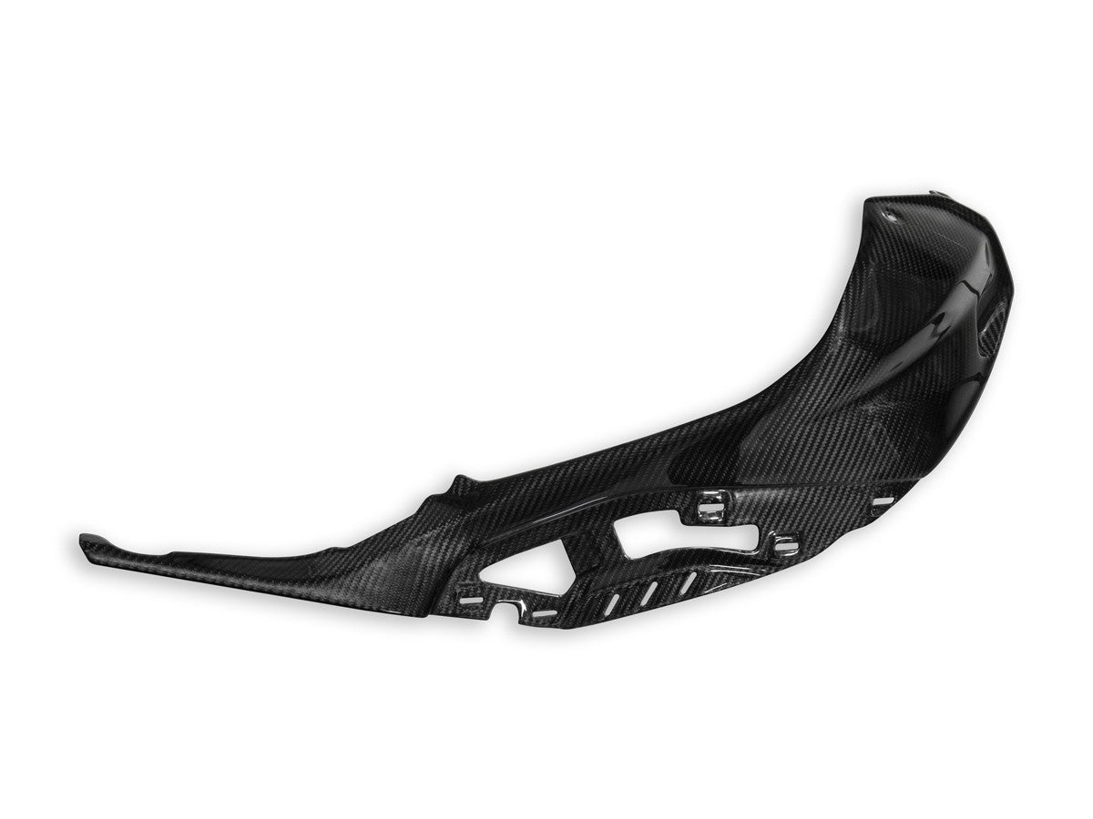 Ducabike DBK CRB138L - BMW S1000r Polished Carbon Tank Cover