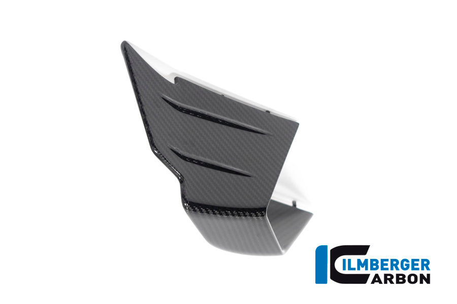 Ilmberger Carbon Flap On The Fairing Left Side BMW M 1000 RR MY 2021-2022
