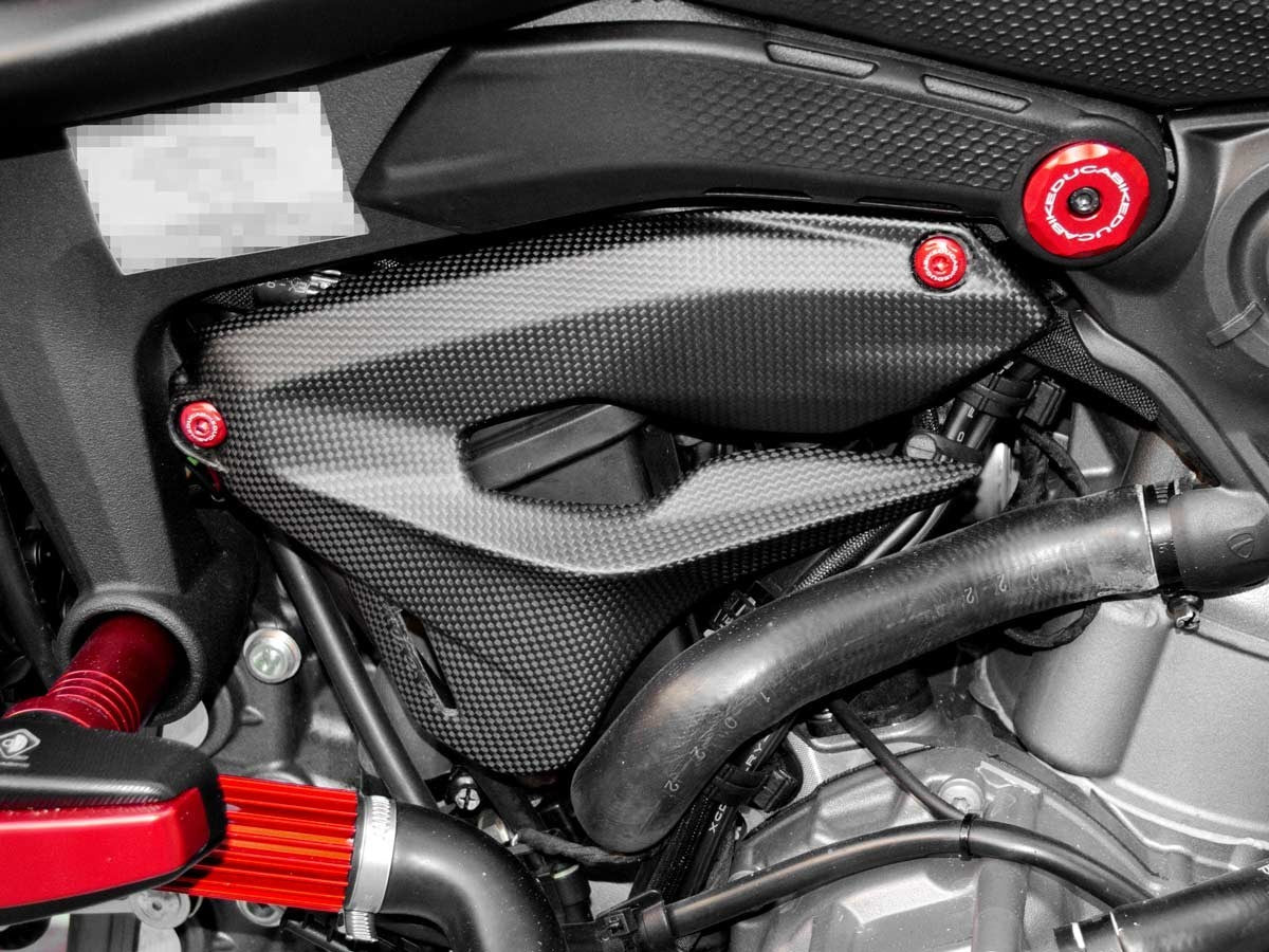 Ducabike DBK CRB03O - Carbon Side Covers