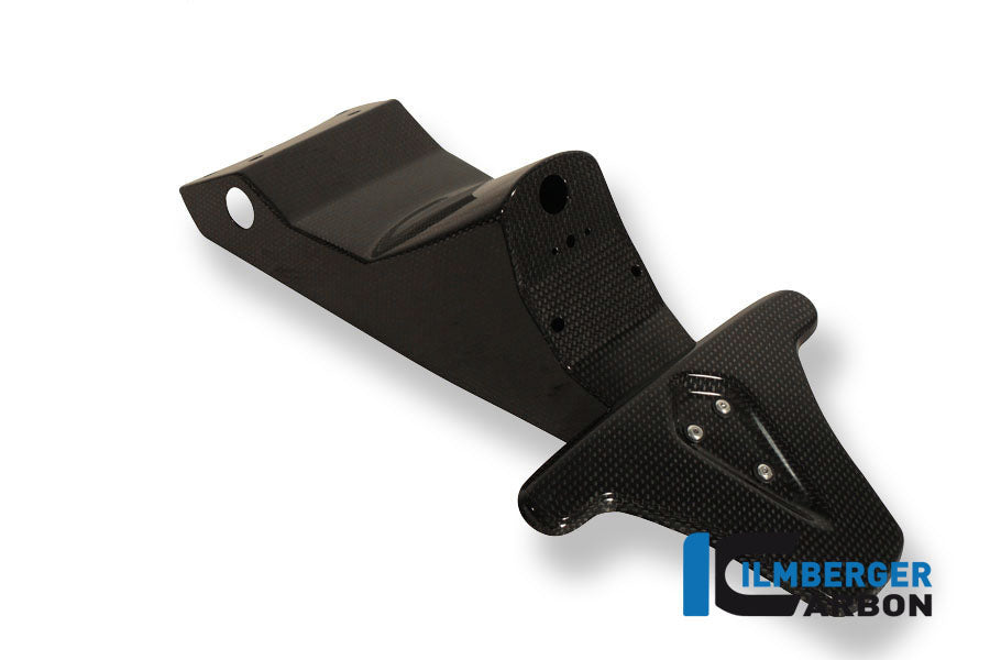 Ilmberger Carbon License Plate Holder (Incl. Taillight Cover With Indicator Mount) Carbon Triumph Speed Triple 1050