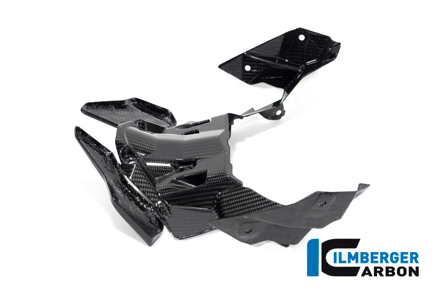 Ilmberger Carbon Front Beak Extension S 1000 XR From MY 2020
