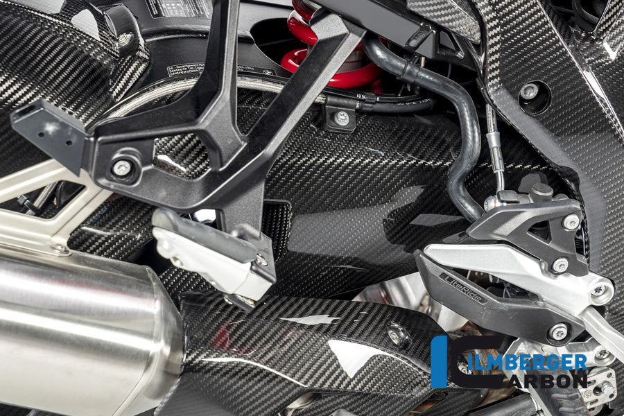Ilmberger Carbon Swing Arm Cover Right Side BMW S 1000 XR From MY 2020