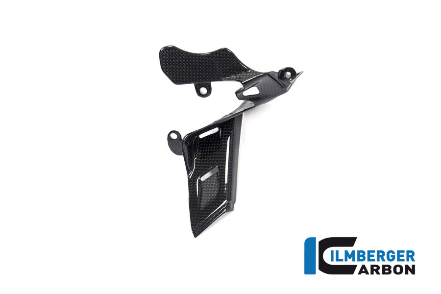 Ilmberger Carbon Instrument Cover Ducati Panigale V4 / V4 S - Gloss