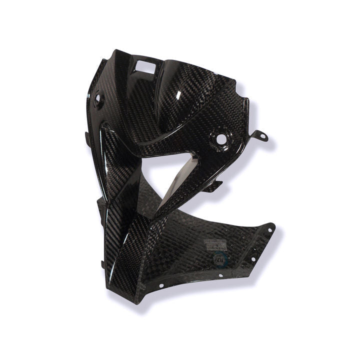 Ilmberger Carbon Fiber Air Intake Nose Piece HP4 S1000RR 2009-2014