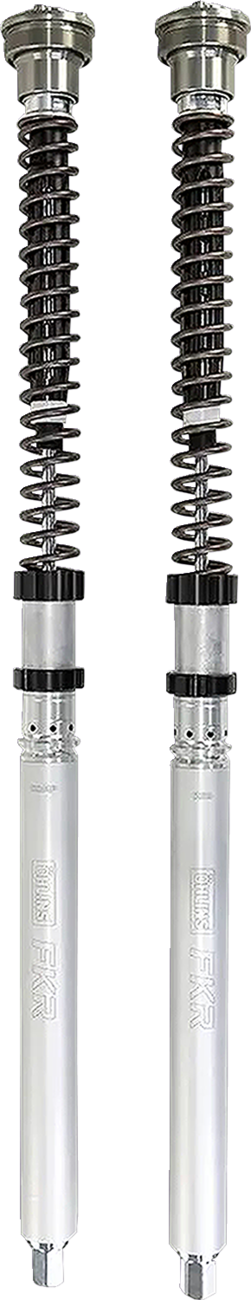 Ohlins Fork Cartridge Kit (FKR222)
