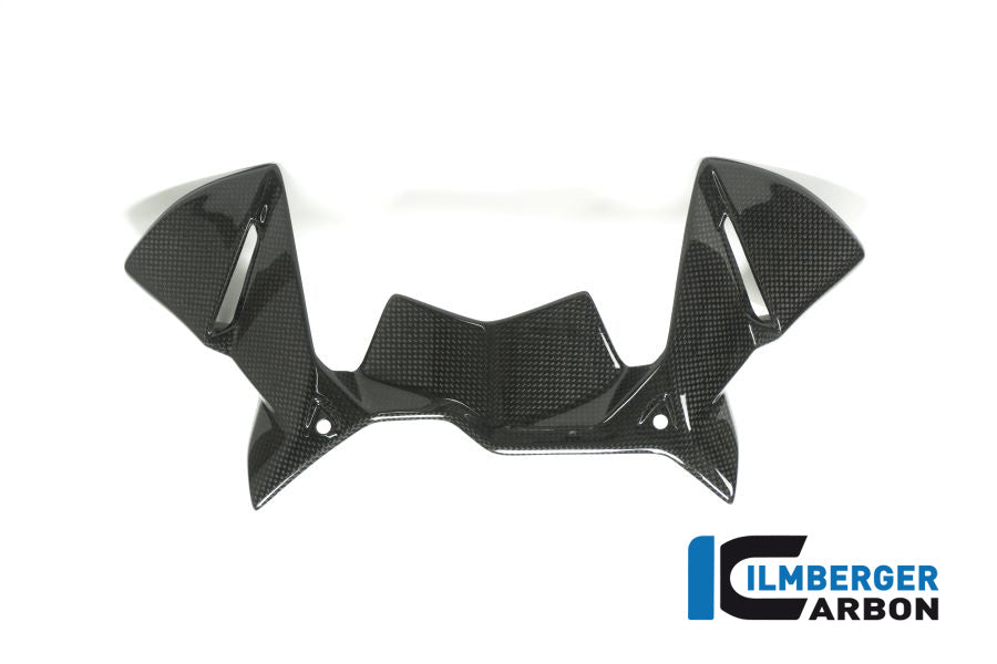 Ilmberger Carbon Windprotector On The Instruments BMW R 1200 GS´17