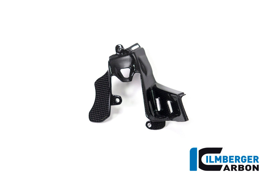 Ilmberger Carbon Instrument Cover Ducati Panigale V4 / V4 S