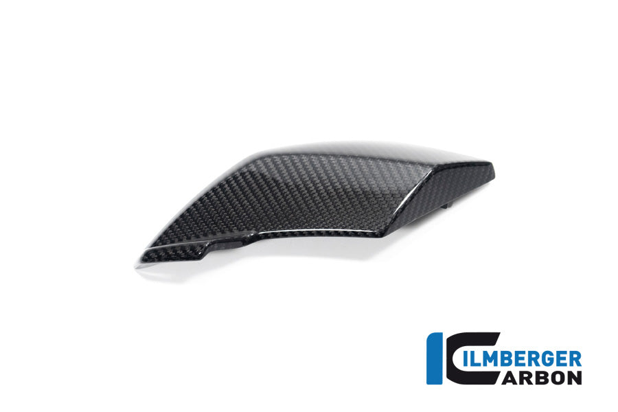 Ilmberger Carbon Side Cover Headlight Left Side BMW S 1000 R MY From 2021 / M 1000 R MY From 2023