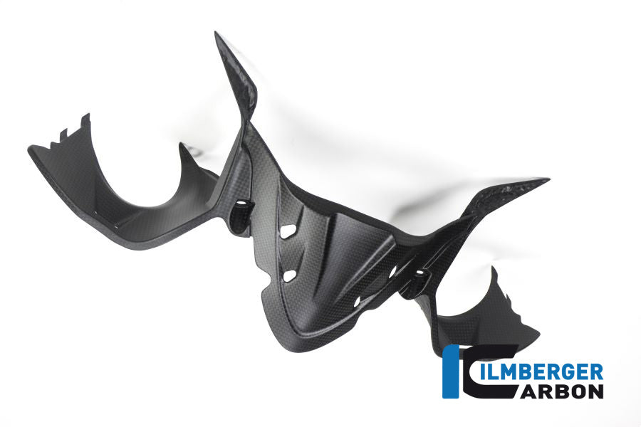 Ilmberger Carbon Instrument Panel Matt Carbon Ducati Panigale 1299 (From 2015)