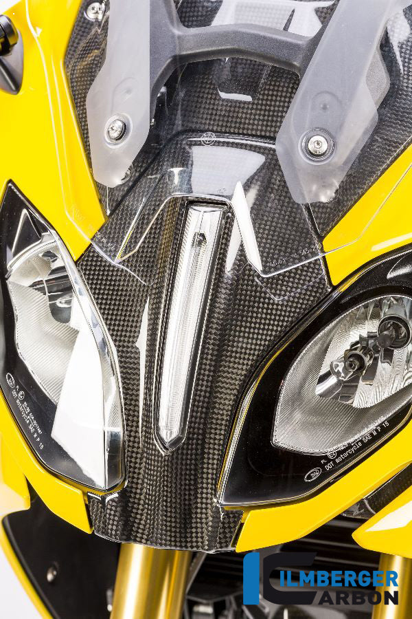 Ilmberger Carbon Verkleidungsmitterteil Oben BMW R1200RS'15