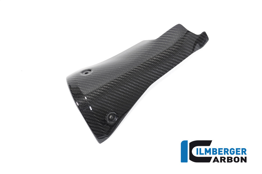 Ilmberger Carbon Front Silencer Protector BMW R 1250 R / R 1250 RS