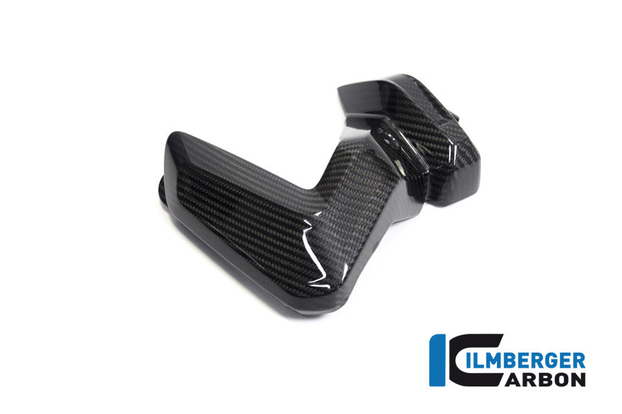 Ilmberger Carbon Spark Plug Cover Left Side BMW R 1250 GS / R 1250 R, And RS