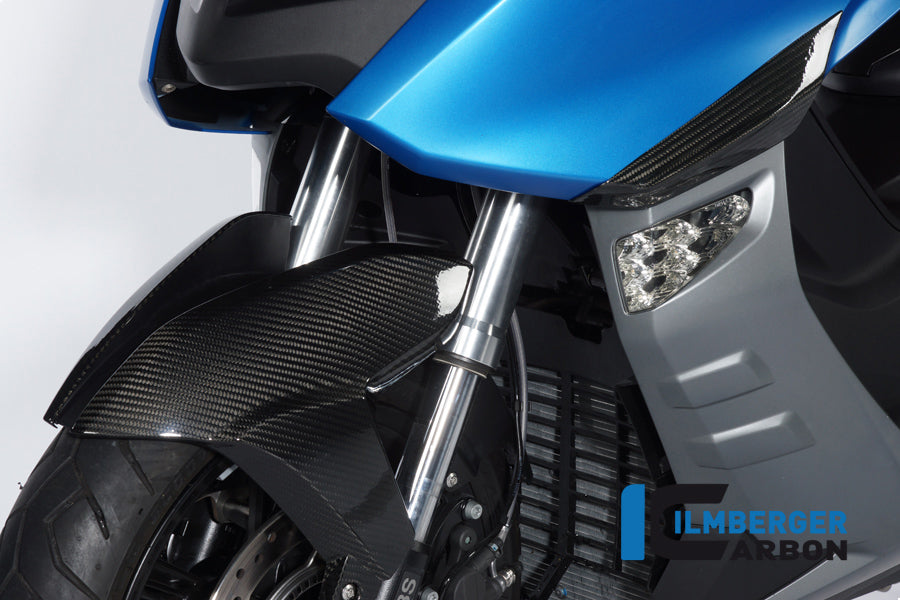Ilmberger Carbon Front Fender BMW C600 Sport Left/Right