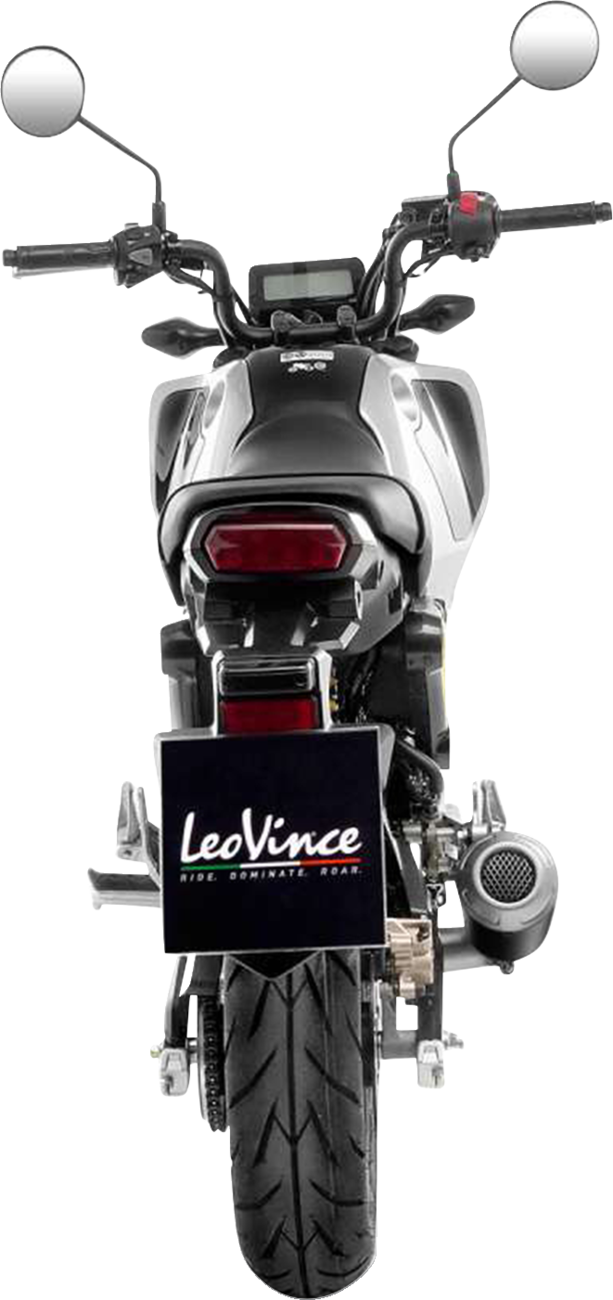 LeoVince LV-10 Exhaust System