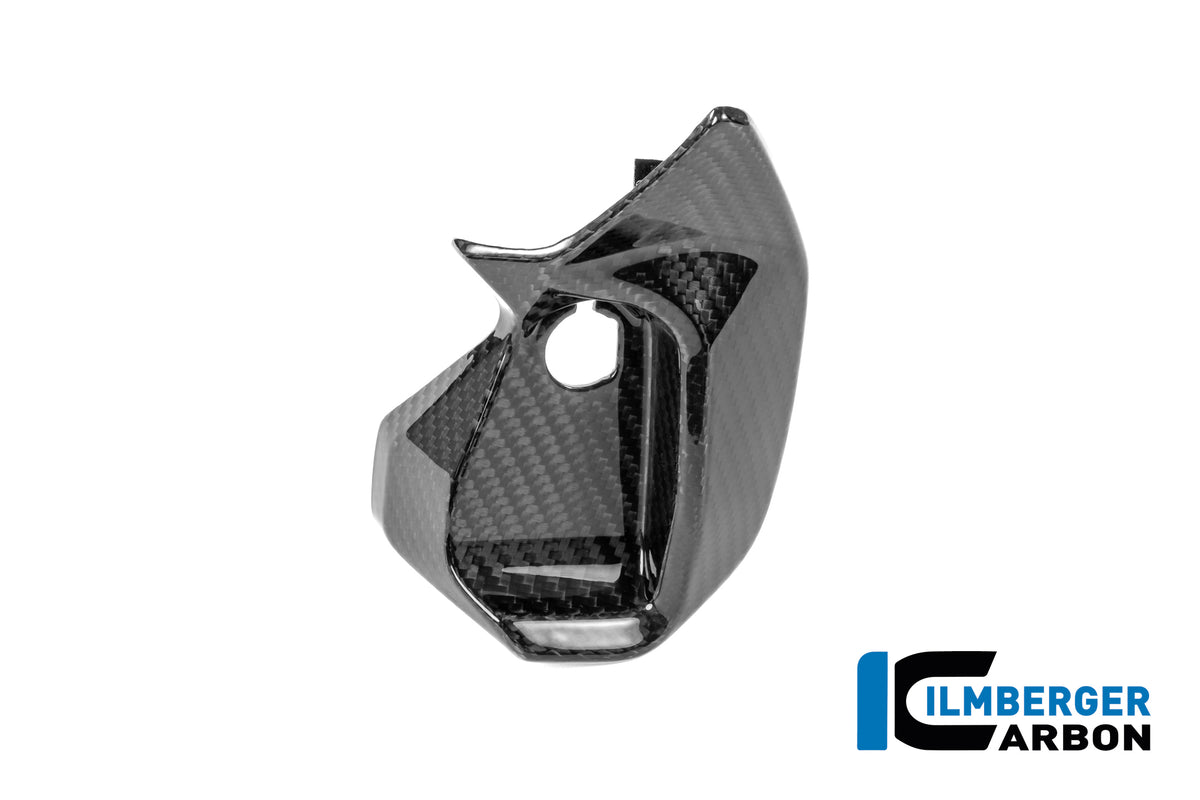 Ilmberger Carbon Dash Cover Right R1300Rs - Gloss / Twill