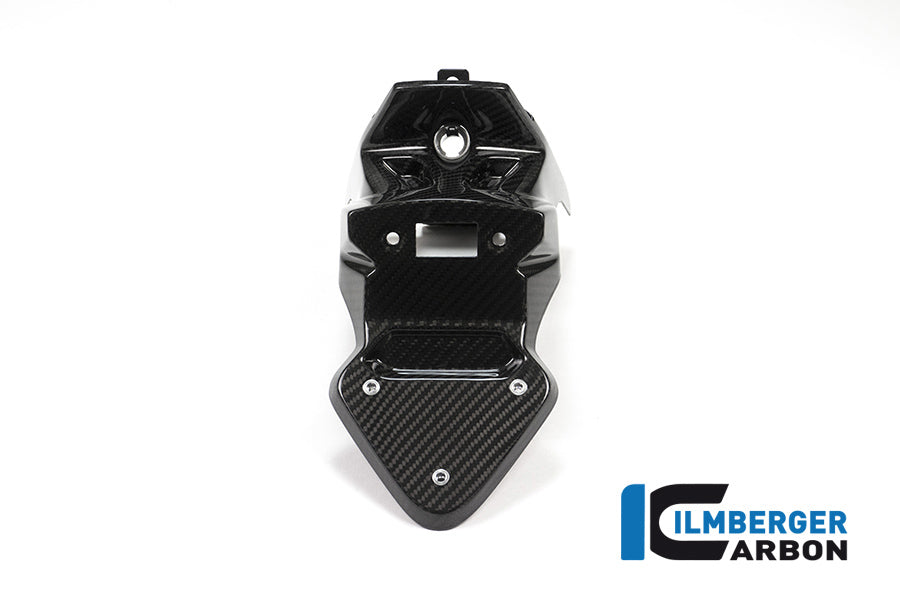 Ilmberger Carbon Number Plate Holder (Short Version) - BMW S 1000 XR MY 2015-2019