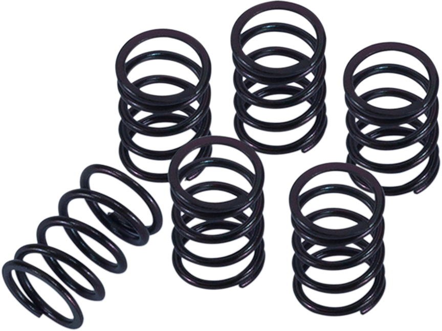 Barnett Clutch Spring Kit - Honda