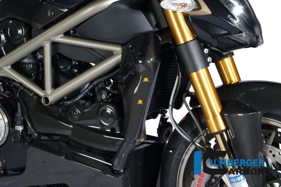Ilmberger Carbon Water Radiator Cover Right Carbon