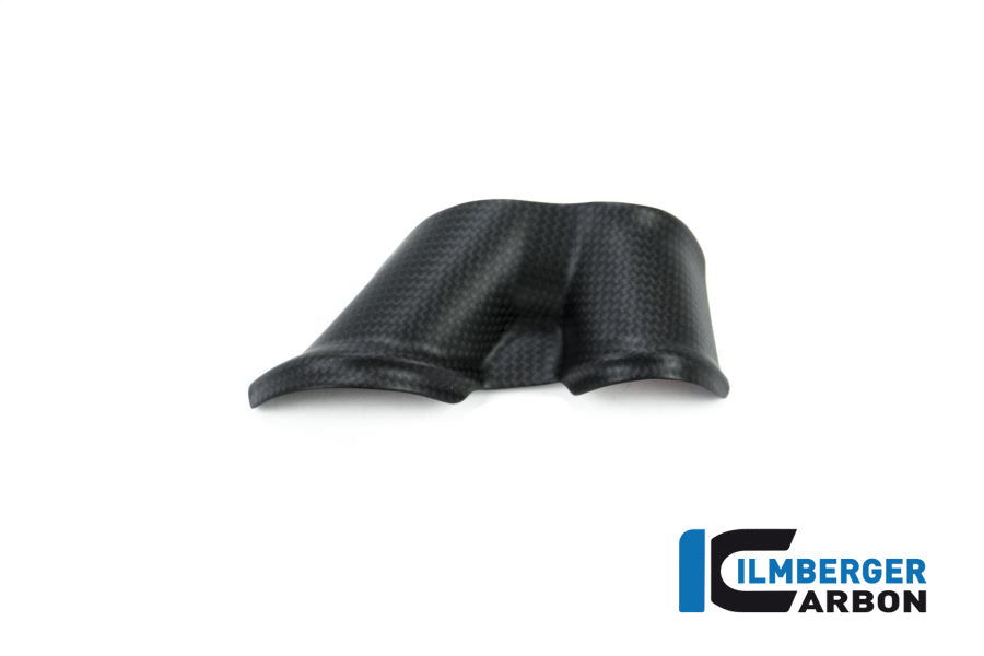 Ilmberger Carbon Swing Arm Cover Set 2-Parts Ducati XDiavel 2016 3Tlg - Matte