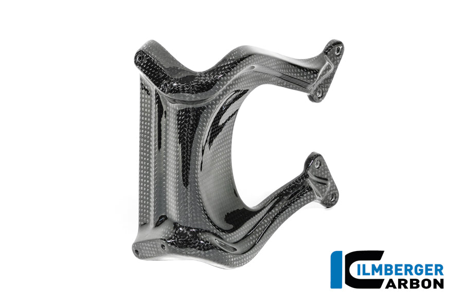 Ilmberger Carbon Windshield BMW R12 NineT - Gloss / Twill