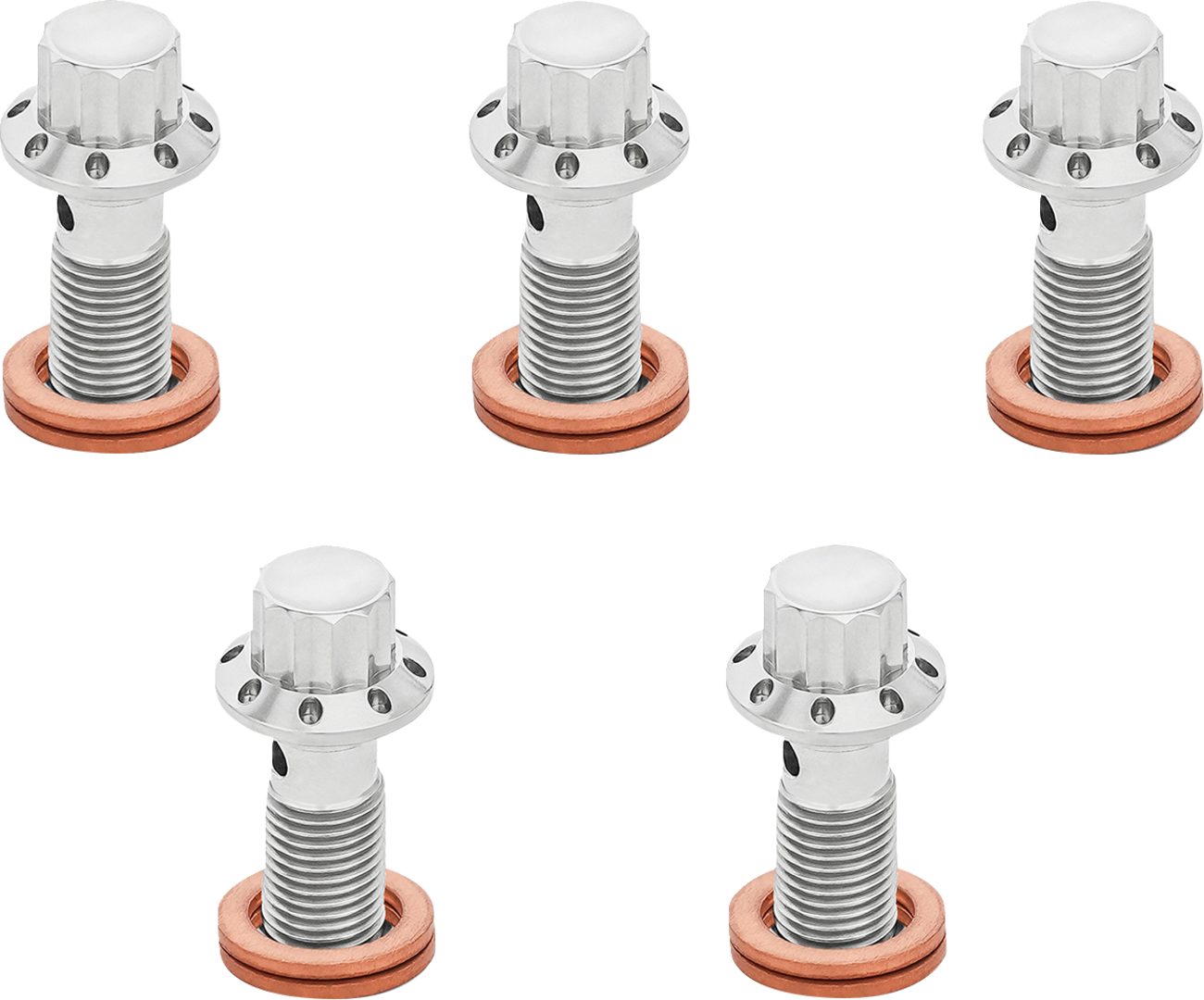 Arlen NESS Banjo Bolt 5-Pack - M10x1.25 - Polished