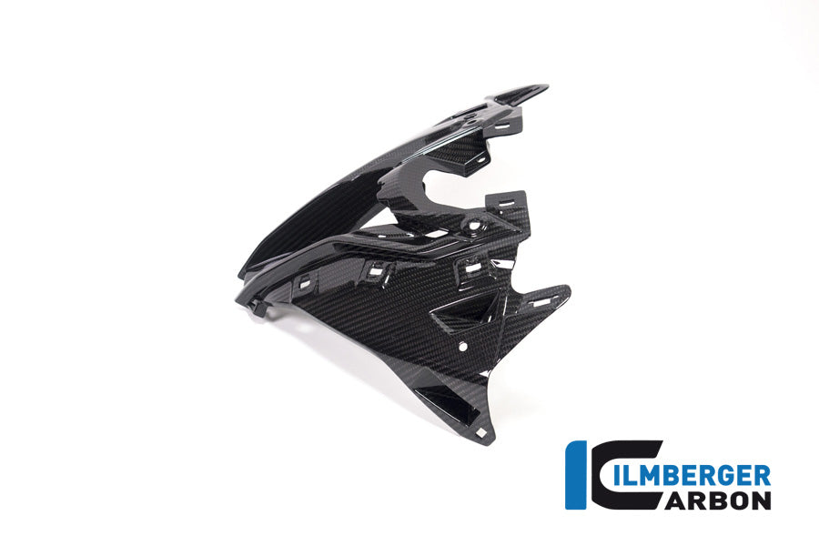 Ilmberger Carbon Front Fairing Air Intake Center BMW M 1000 RR 2021