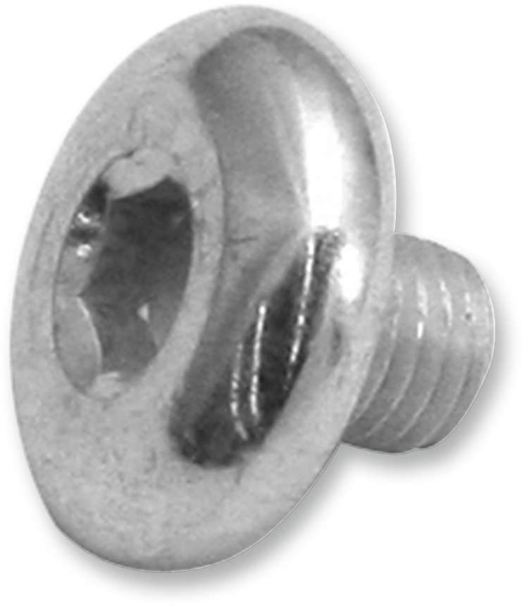 S&S Cycle Replacement Air Cleaner Screw