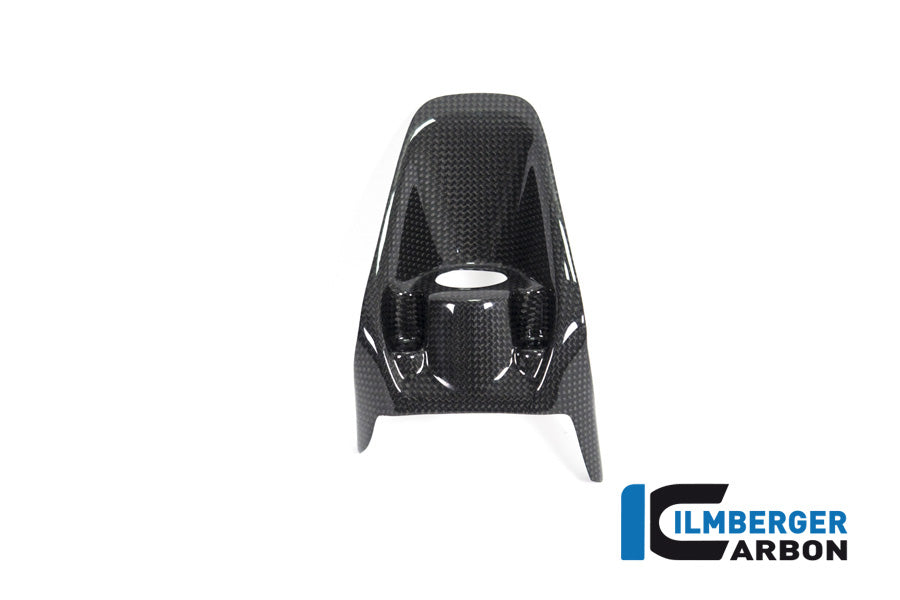 Ilmberger Carbon Ignition Switch Cover Ducati Monster 1200R - Gloss