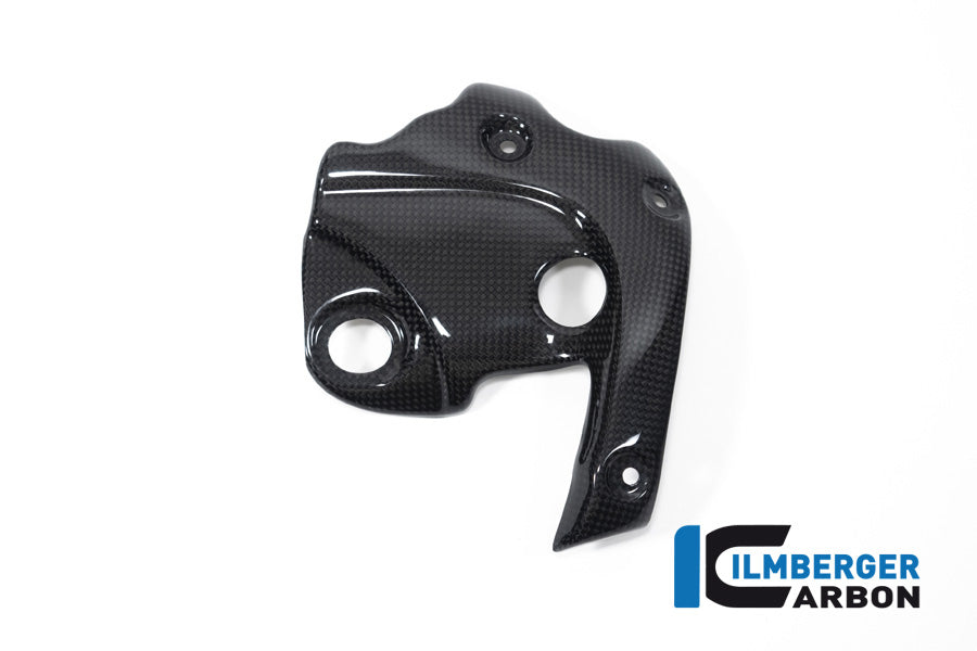 Ilmberger Carbon Exhaust Protection On The Manifold Ducati Diavel 1260 - Gloss / Plain