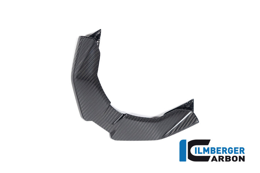 Ilmberger Carbon Front Beak BMW M 1000 XR 2024