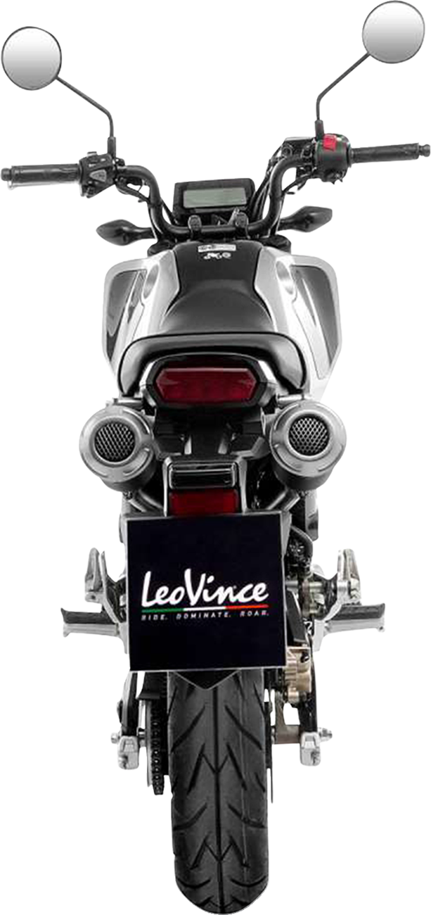LeoVince LV-10 Exhaust System