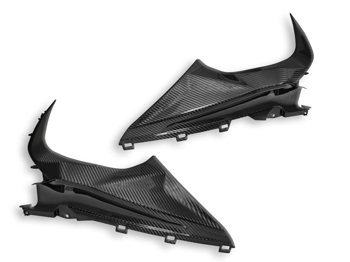 Ducabike DBK CRB113L - BMW S1000rr Glossy Carbon Infil Panel