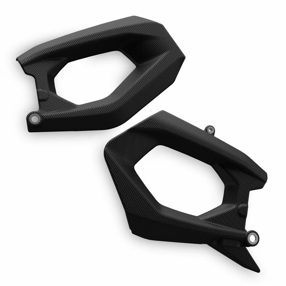 Ducati Performance Carbon Swingarm Guard