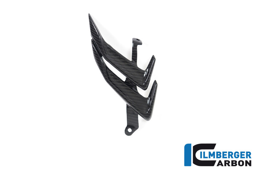 Ilmberger Carbon Winglet Right BMW S 1000 RR MY From 2019