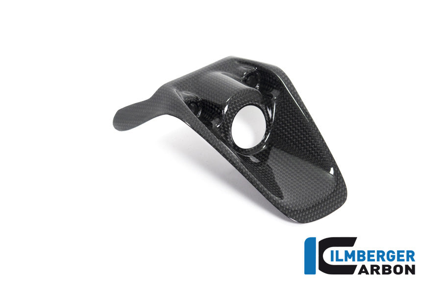 Ilmberger Carbon Ignition Switch Cover Ducati Monster 1200R - Gloss
