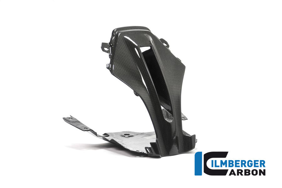 Ilmberger Carbon Verkleidungsmitterteil Oben BMW R1200RS'15