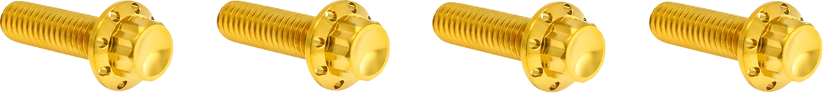 Arlen NESS Bolt Kit - Transmission Top Cover - 12-Point - Titanium - Gold