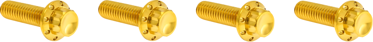 Arlen NESS Bolt Kit - Transmission Top Cover - 12-Point - Titanium - Gold