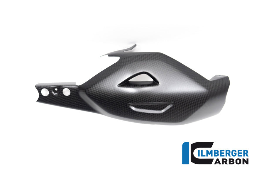 Ilmberger Carbon Swing Arm Cover Ducati Diavel V4 From 2023 - Matte