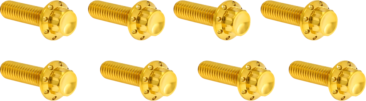 Arlen NESS Lifter Block Titanium 12-Point Bolt Kit