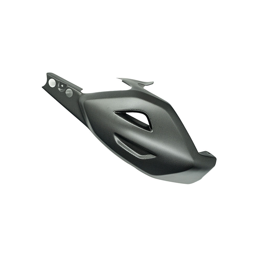 Ilmberger Carbon Fiber Satin Swing Arm Cover for Ducati Diavel V4