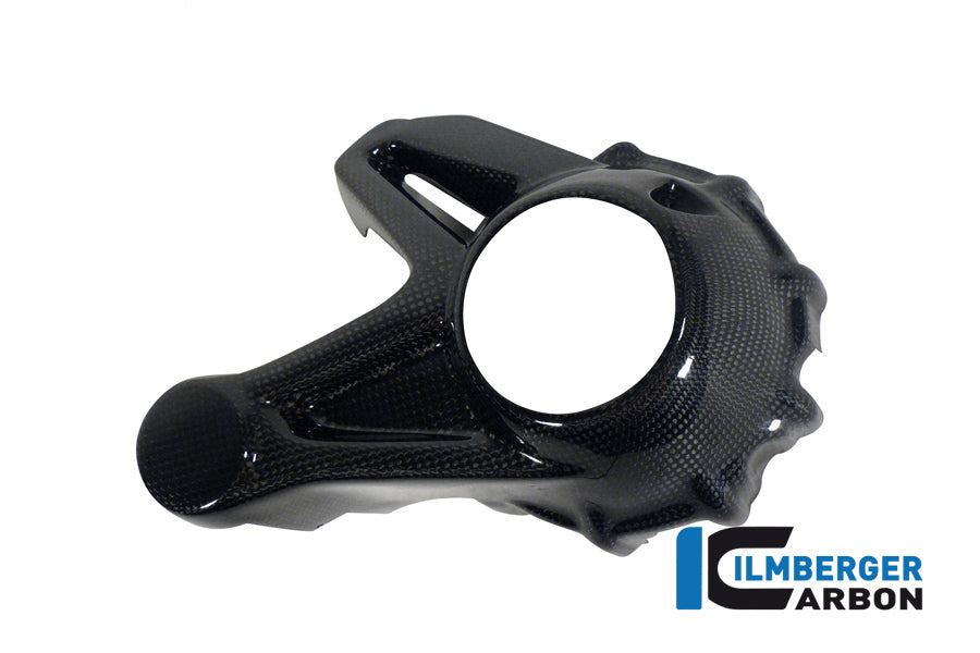 Ilmberger Carbon Cardan Housing Cover (Mounting Without Rear Splash Guard) Carbon For The Water-Cooled BMW R 1200