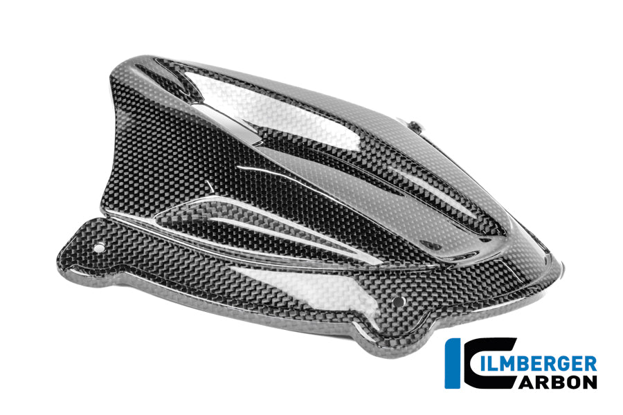 Ilmberger Carbon Instrument Cluster Cover Ducati Panigale V4 2025-2026 - Gloss / Plain