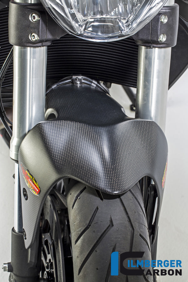 Ilmberger Carbon Front Fender Ducati Monster 1200 - Matte