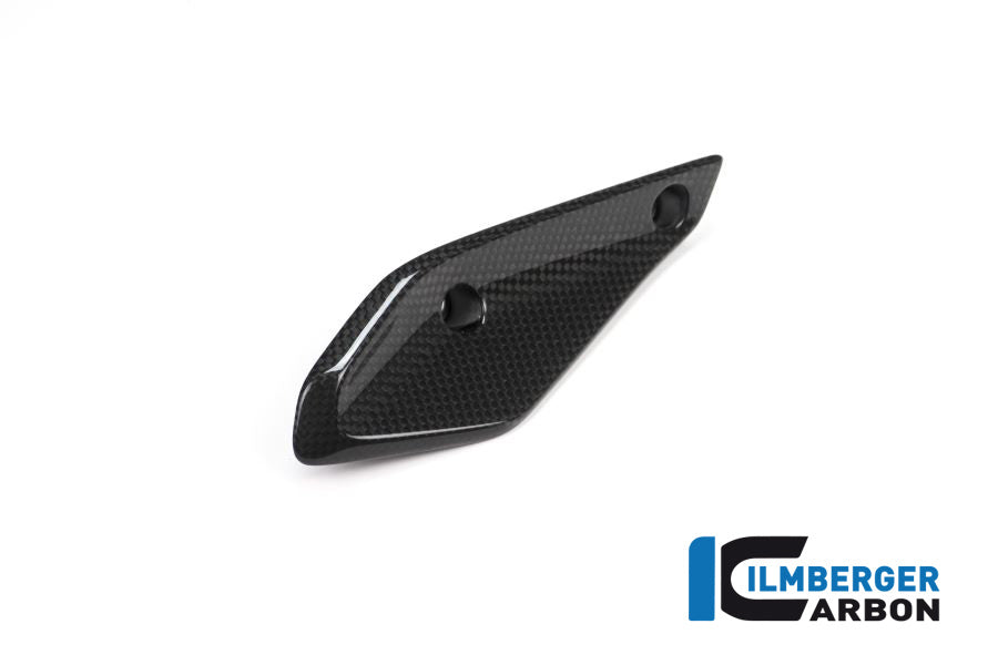 Ilmberger Carbon Verkleidungswinglet Rechts BMW R 1200 RS Bj 2015-2018