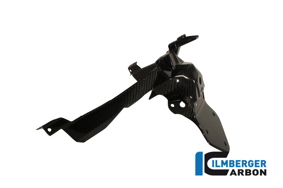 Ilmberger Carbon License Plate Holder Carbon